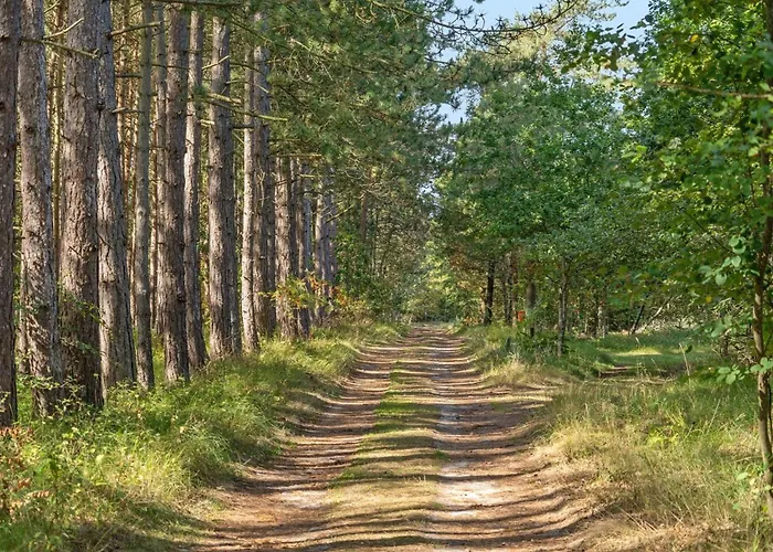 Beatrix - 700m From The Sea By Interhome Laeso